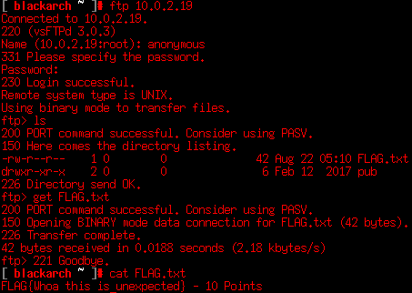 Anonymous FTP